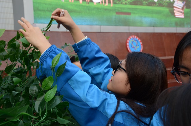 1731543746888268.jpg 學生將心愿卡掛在心愿樹上.jpg